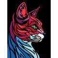 Gatto multicolore