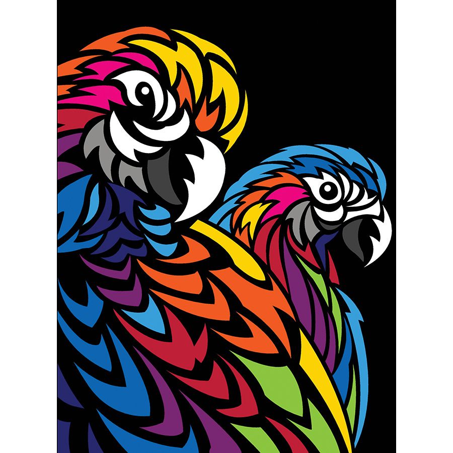 Pappagalli multicolore