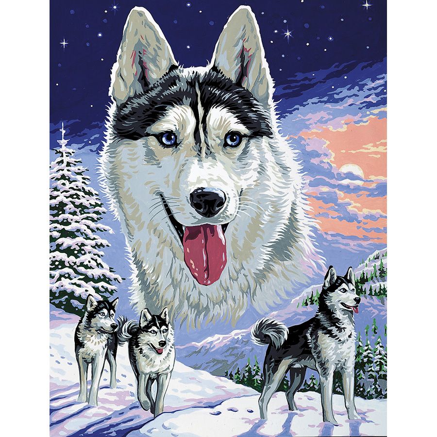 Il branco di Husky