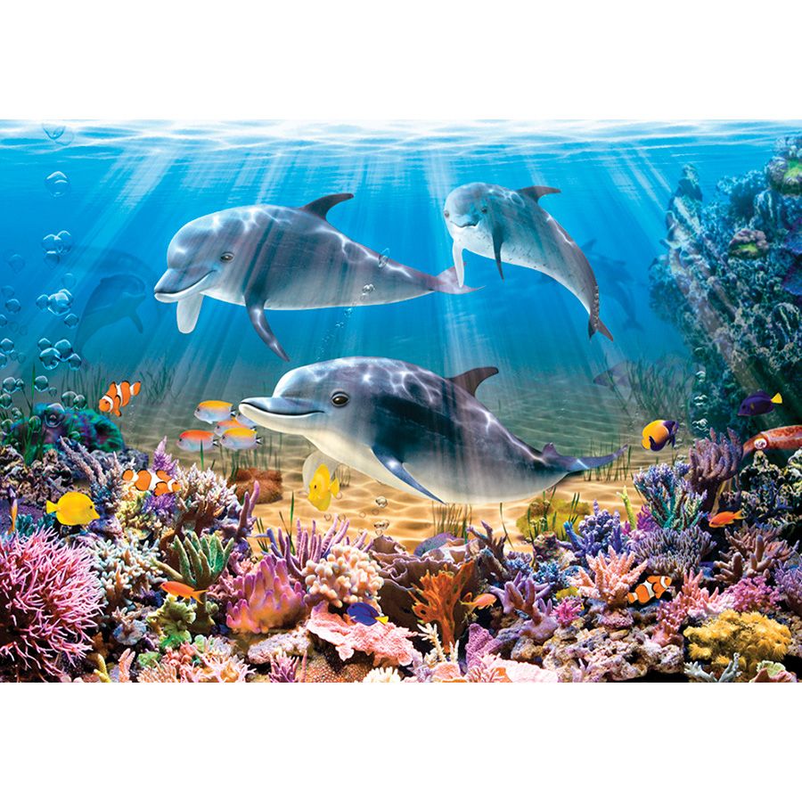 Delfini sott'acqua
