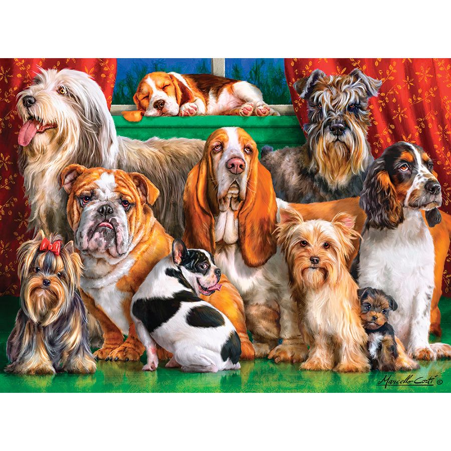 Club dei cani