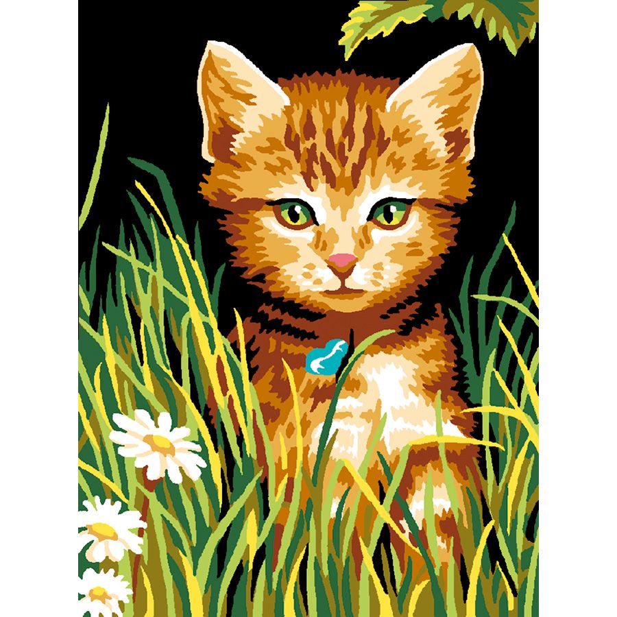 Il gatto nell'erba