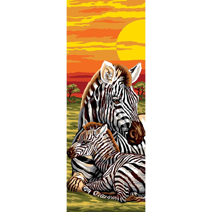 Zebre al tramonto