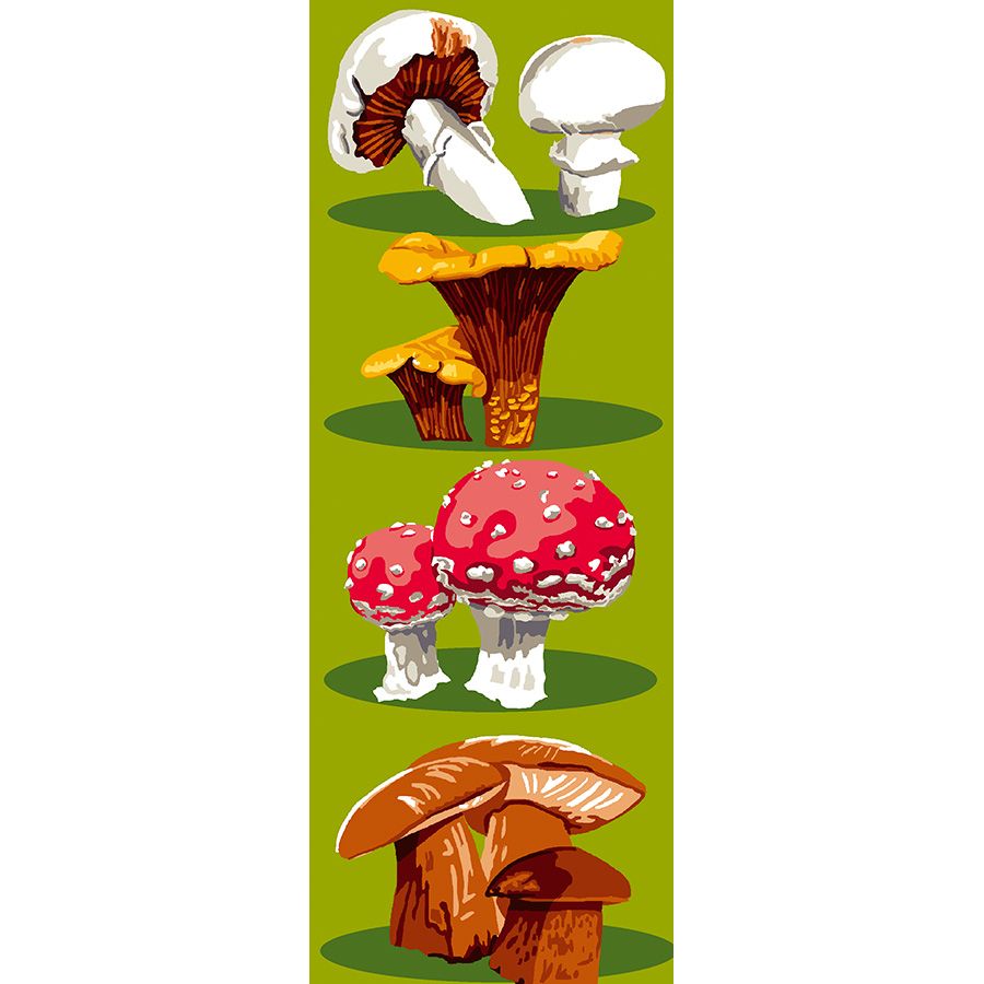 Funghi