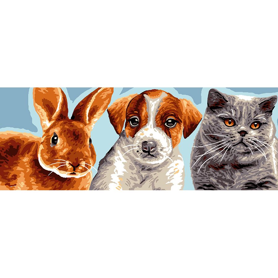 Coniglio, cane e gatto