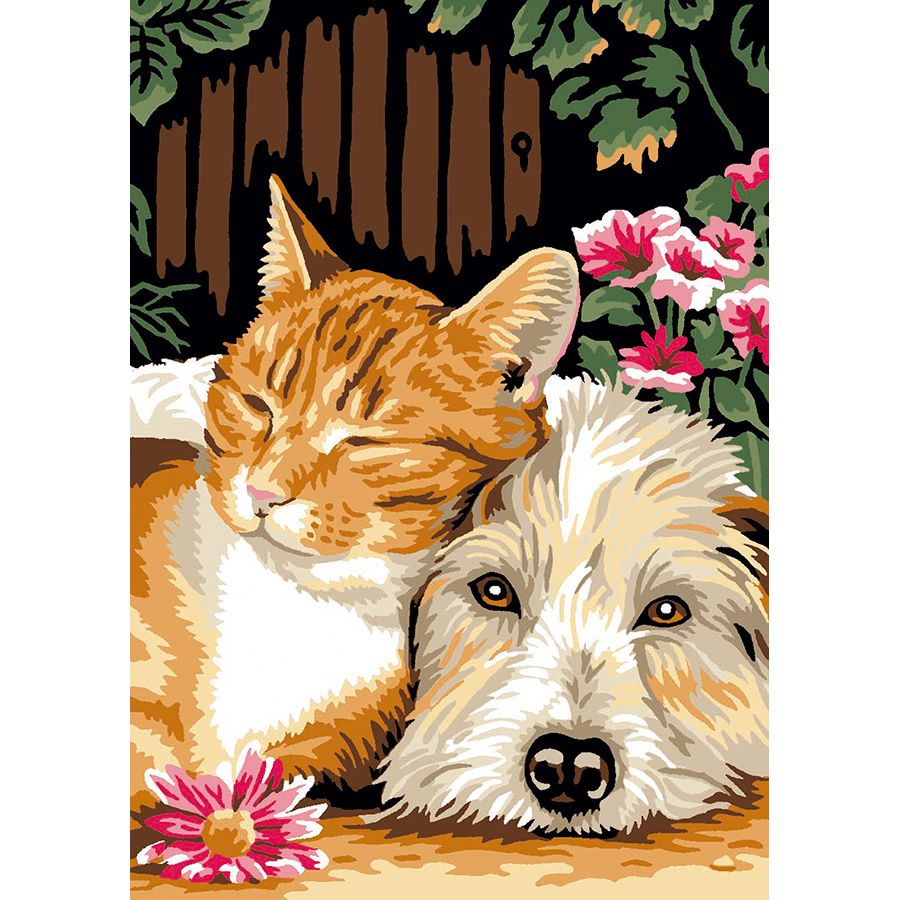 Cane e gatto stanchi
