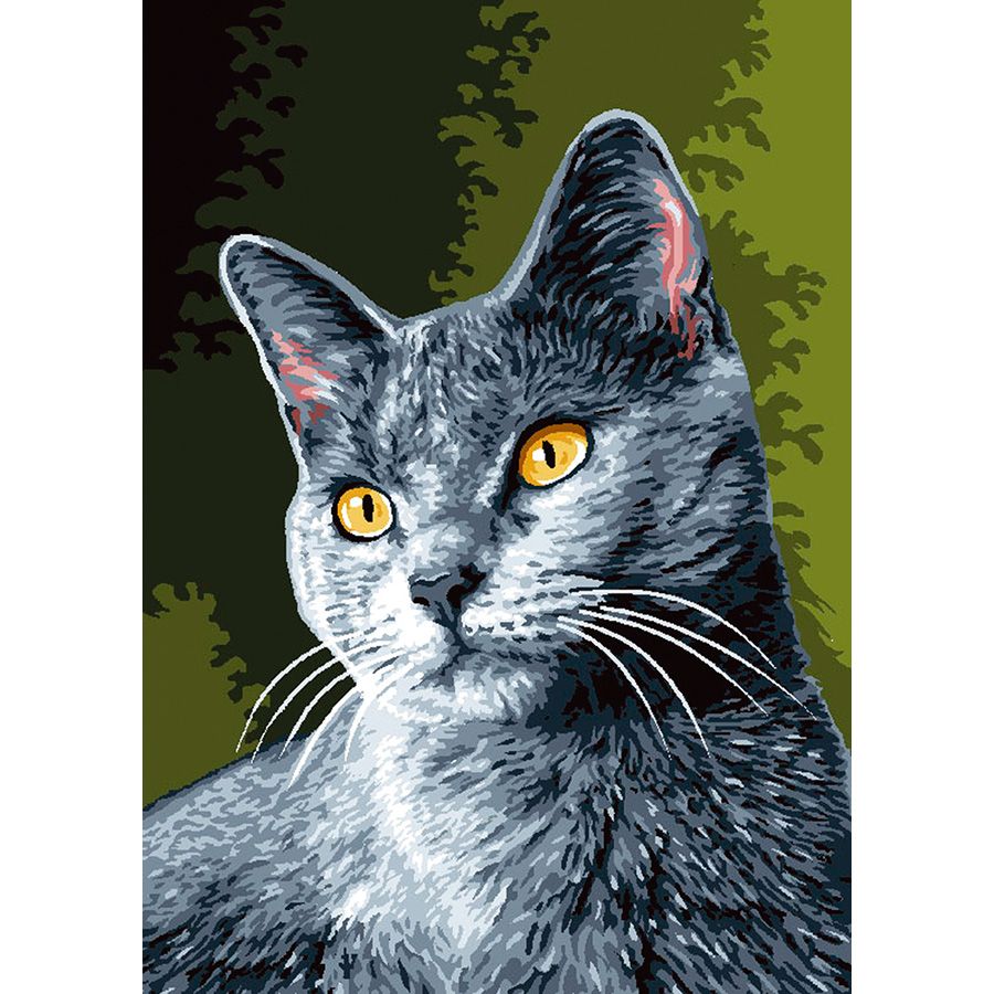 Gatto dagli occhi gialli