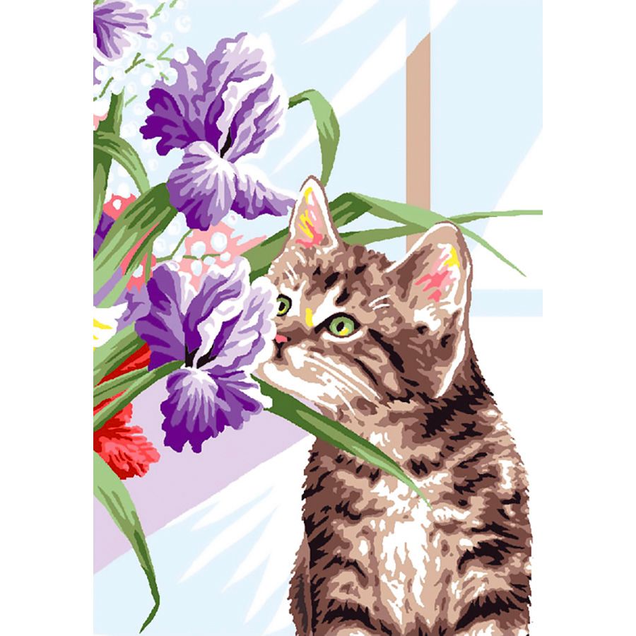 Gatto che annusa