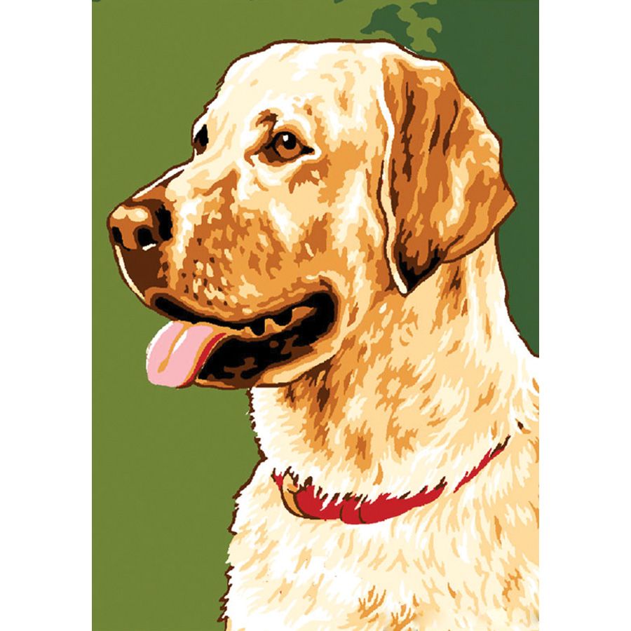 Labrador
