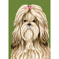 Shih tzu