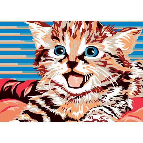 Il gattino dagli occhi blu