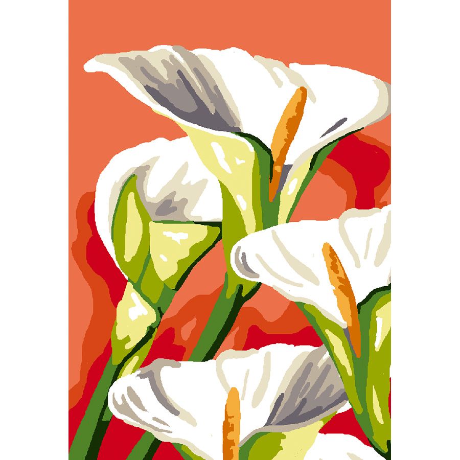 Calla zantadeschia
