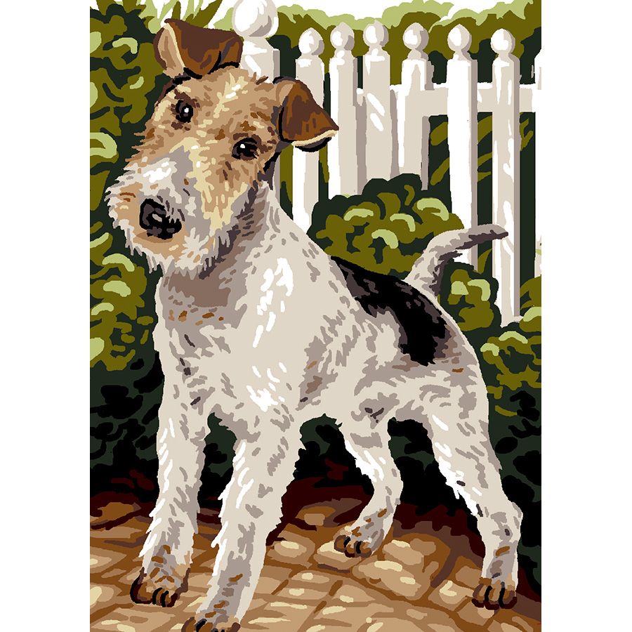 Fox Terrier a pelo ruvido
