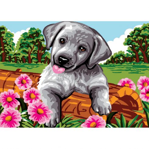 Cagnolino felice