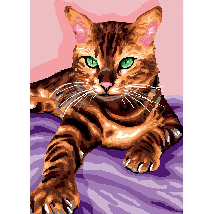 Gatto sulla coperta