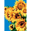 Girasoli sfondo blu