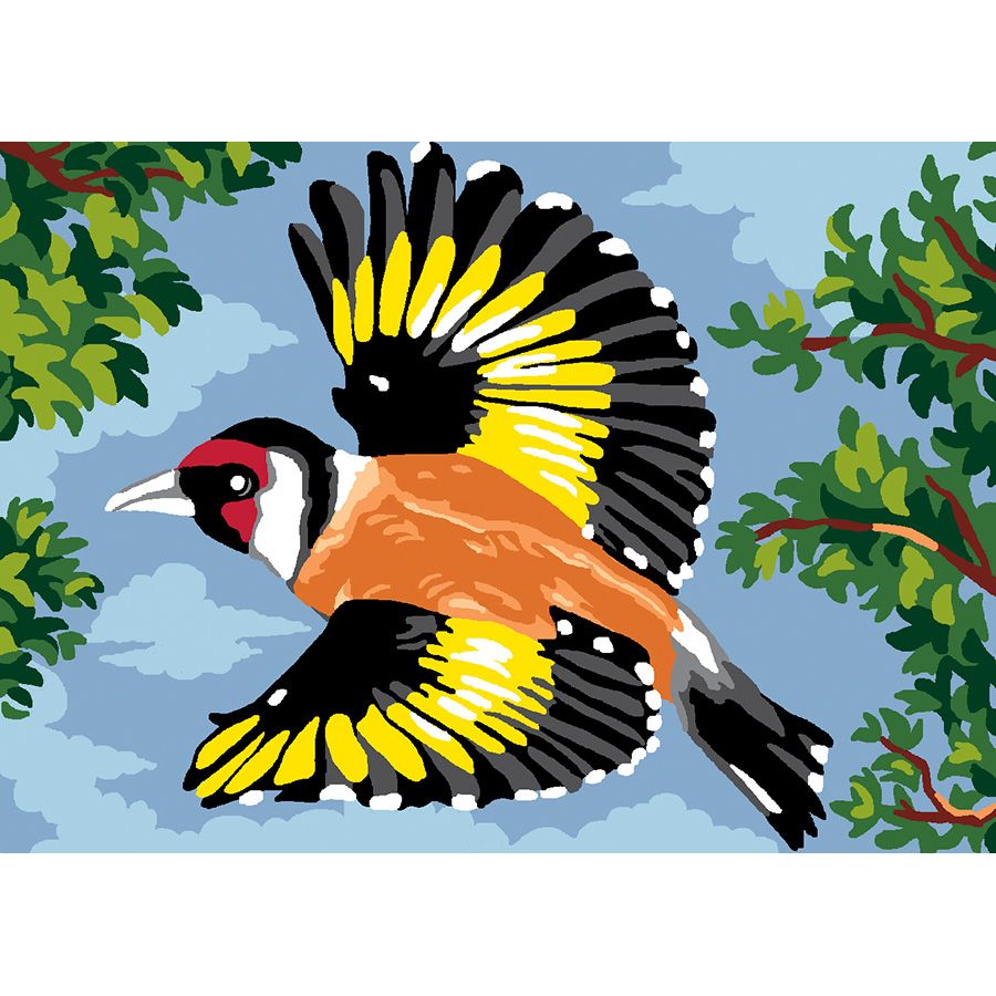 Uccello multicolore