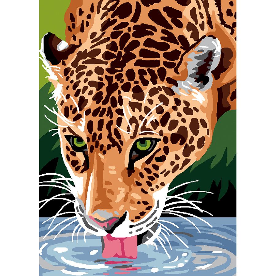Il leopardo che si abbevera