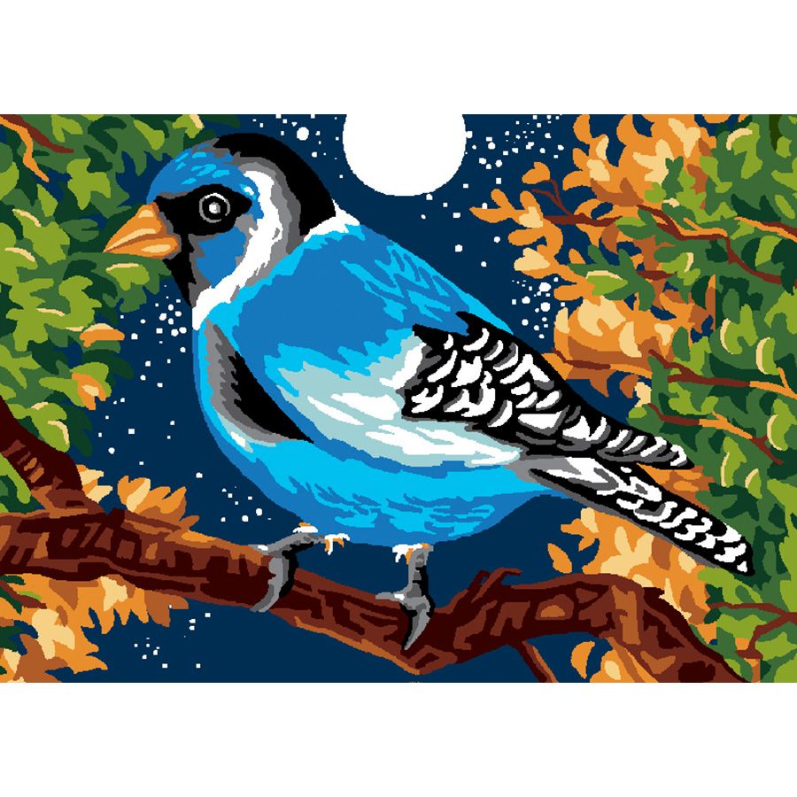 Uccellino azzurro notturno