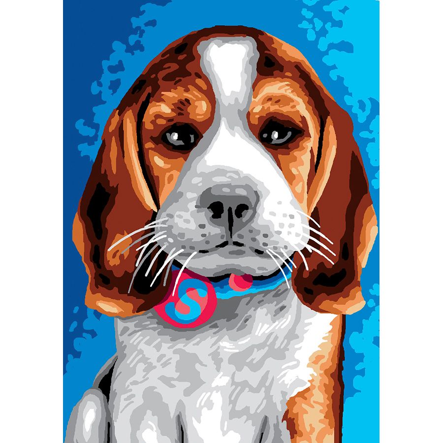 Cucciolo di beagle