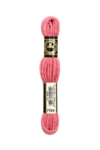7194