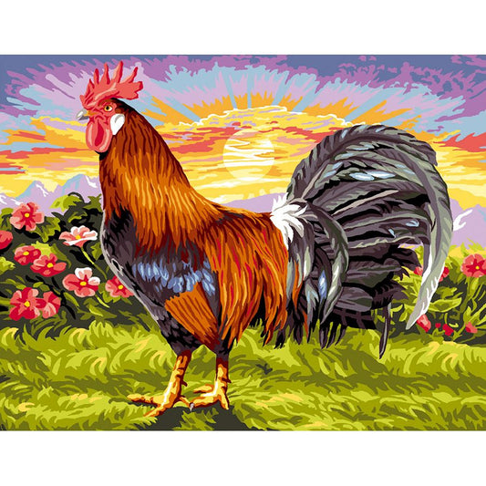 Gallo all'alba