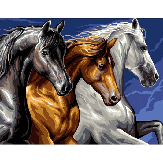 3 maestosi cavalli