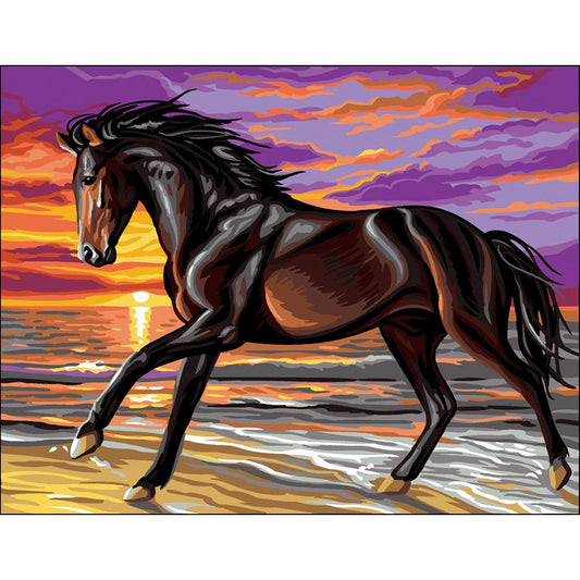 Cavallo in spiaggia al tramonto