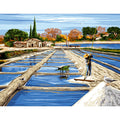 Laguna del sale