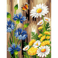 Margherite tra fiori gialli e blu