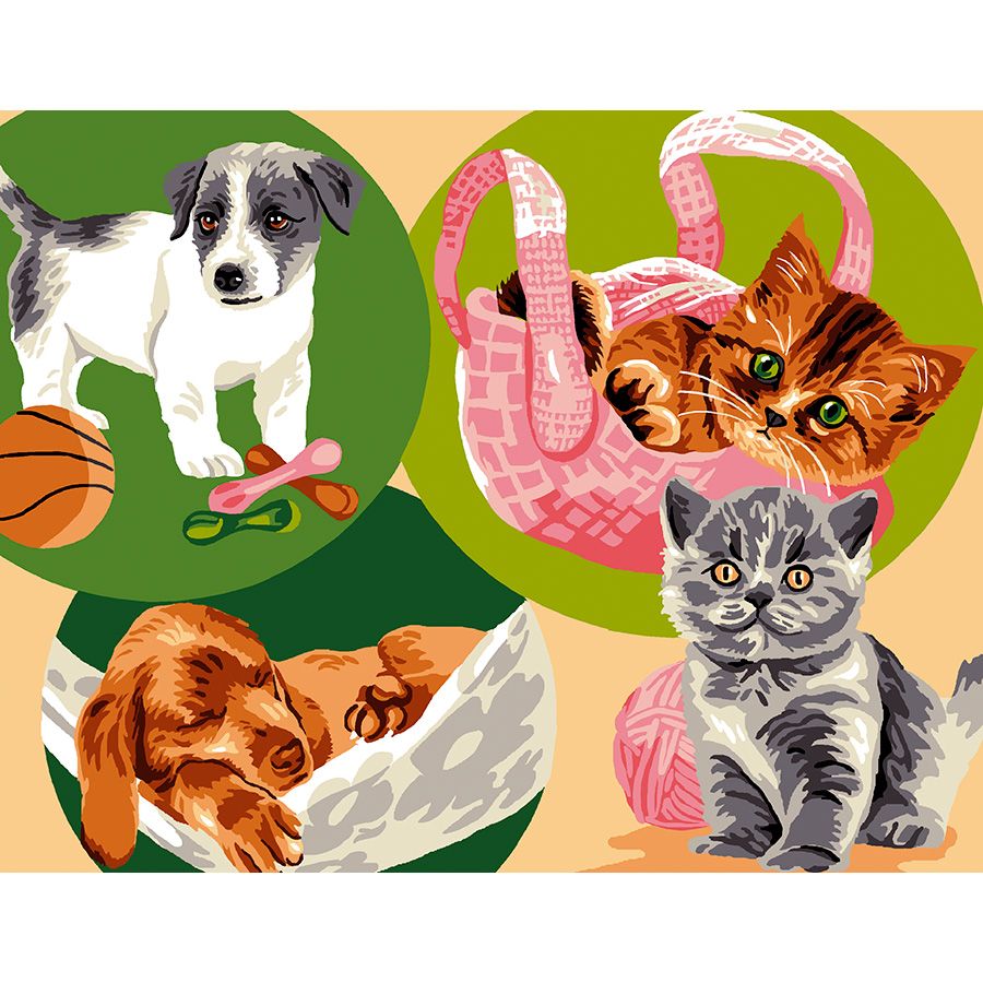 I gattini e i cagnolini