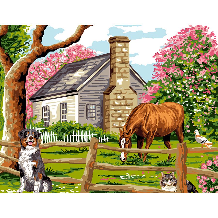 Il Border Collie e il cavallo