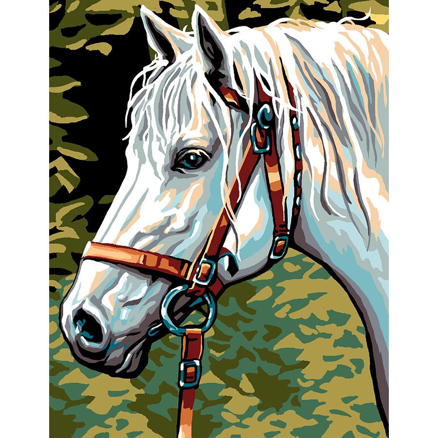 Il cavallo al guinzaglio