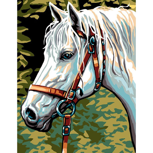 Il cavallo al guinzaglio