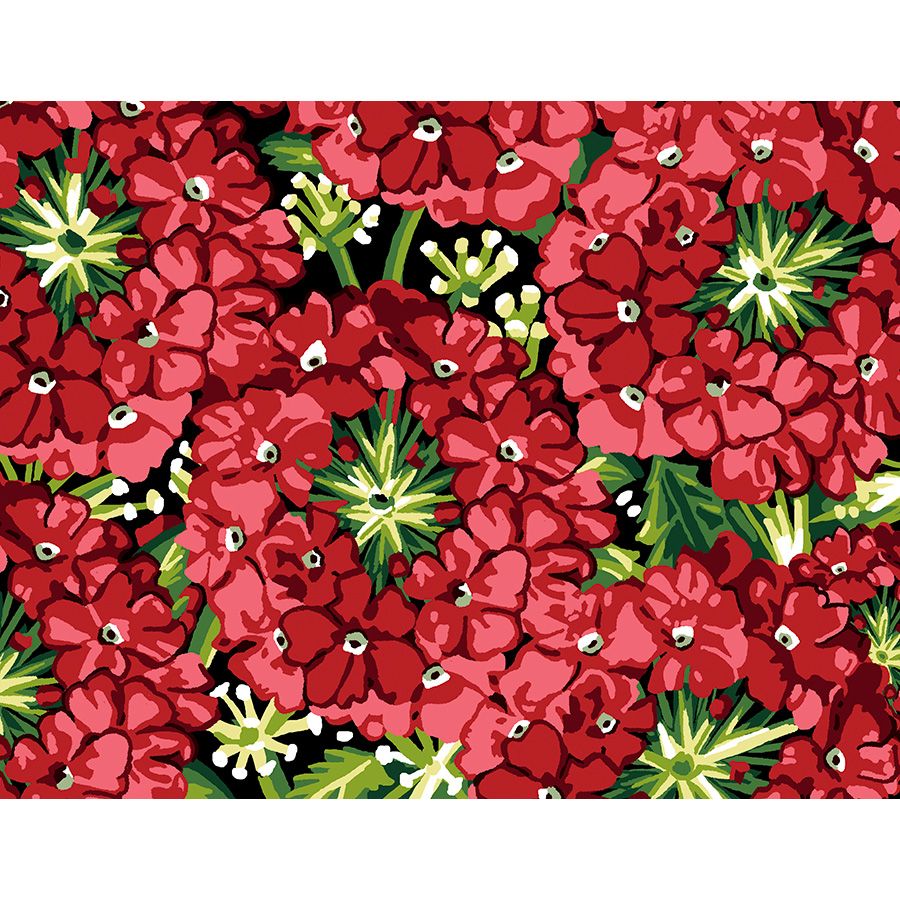 Verbena