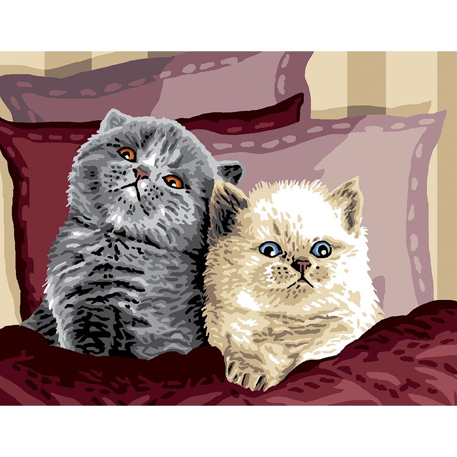 I gattini a letto