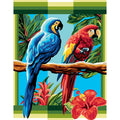 Spirito tropicale