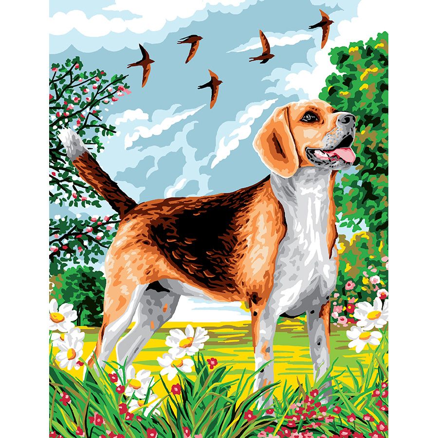 Il beagle nella natura