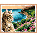 Sogno felino