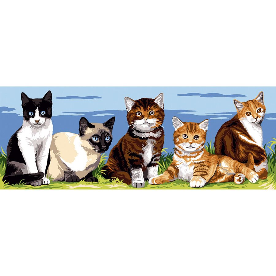5 gatti amici