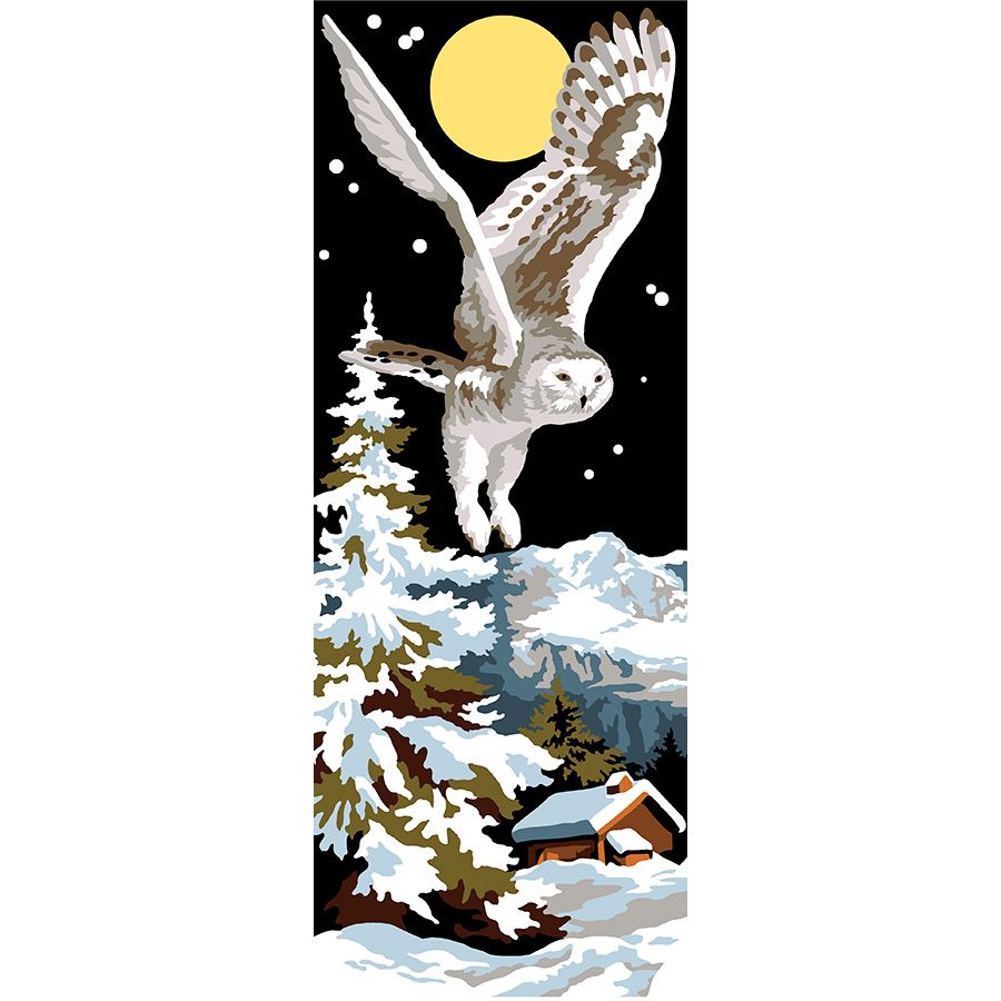 La civetta di notte in montagna