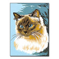 Gatto siamese