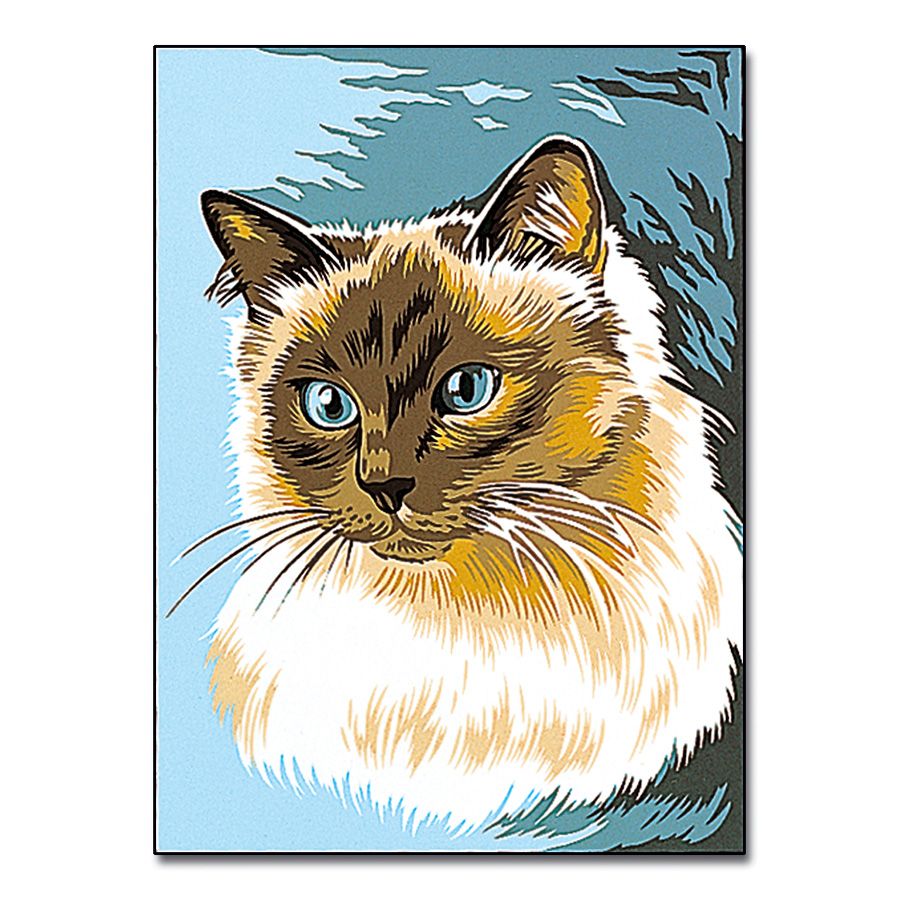 Gatto siamese