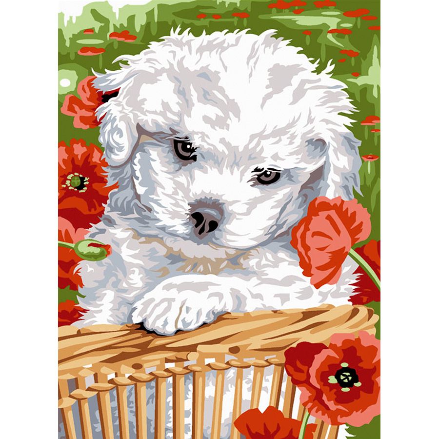 Cane bianco tra fiori rossi