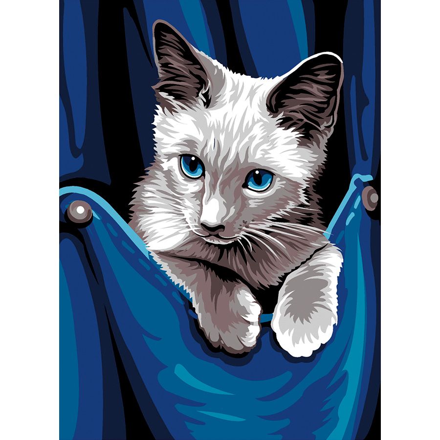 Gatto nella tasca