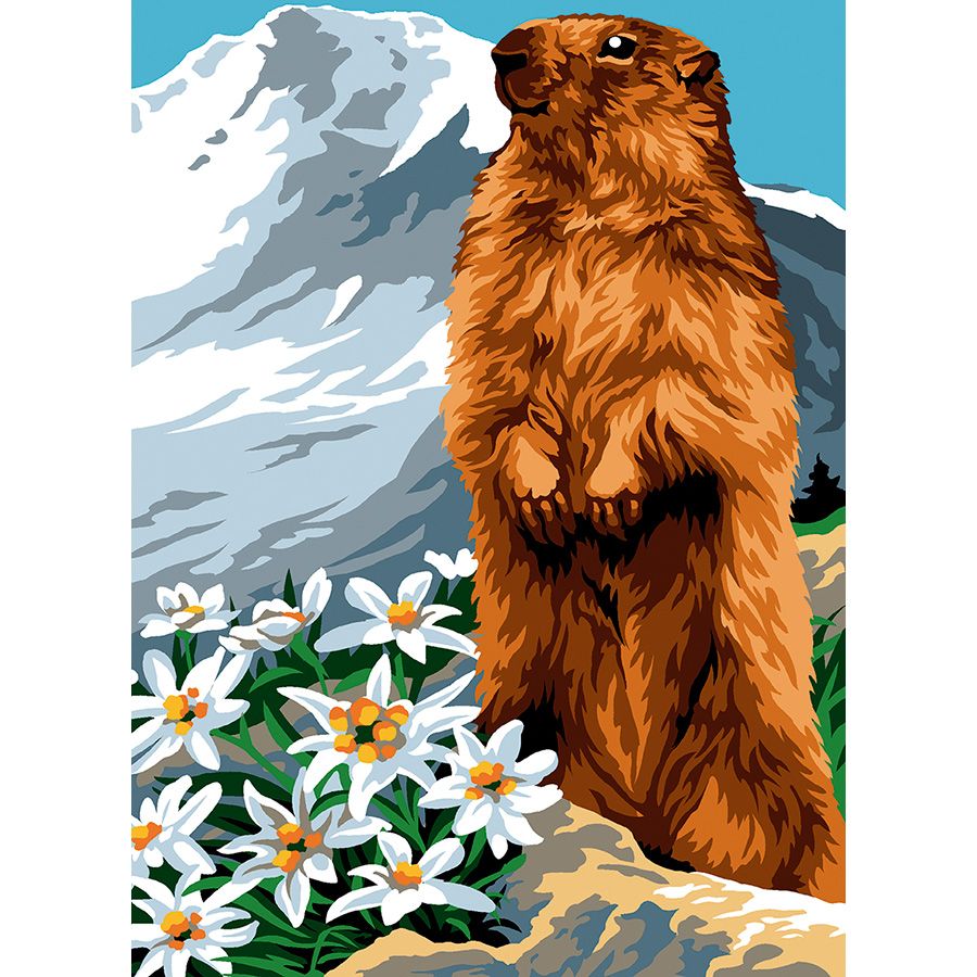 La marmotta tra le margherite