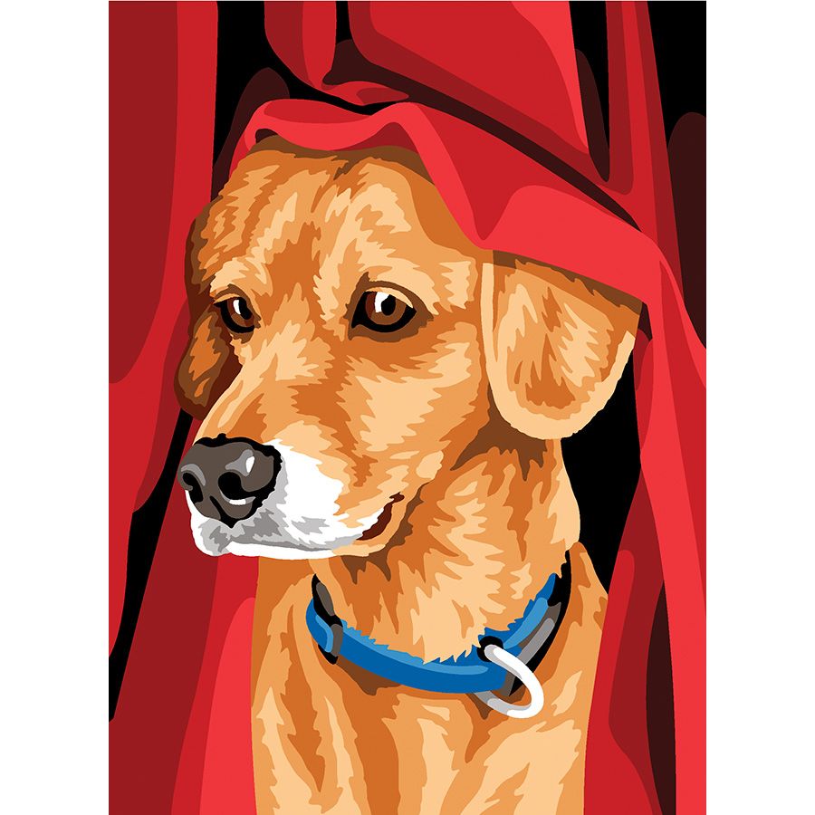 Il cane sotto la coperta rossa