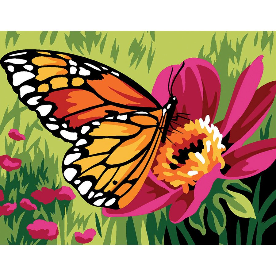 Farfalla sul fiore