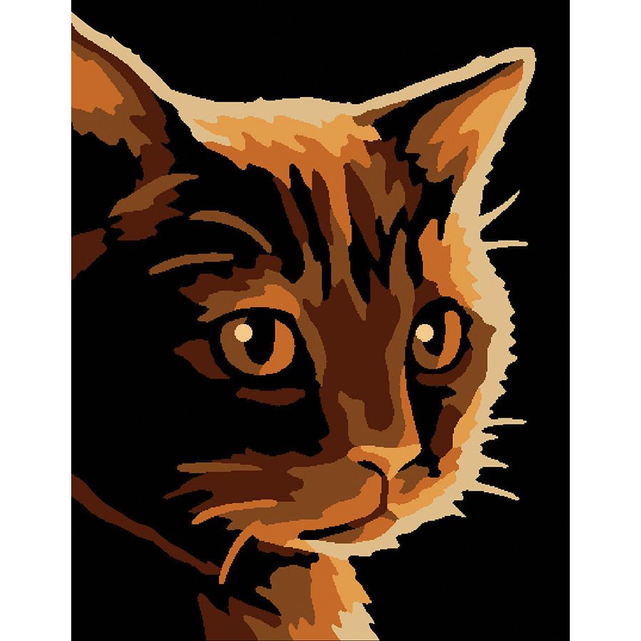 Gatto chiaroscuro