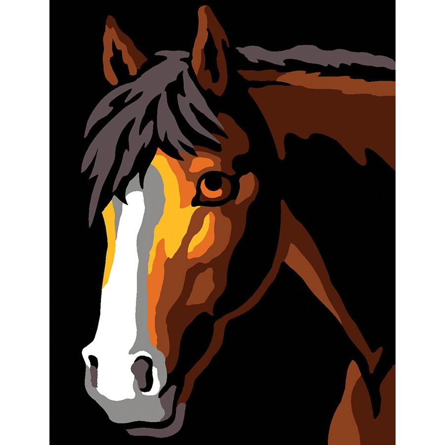 Cavallo chiaroscuro